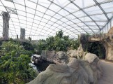 Innenansicht_Gondwanaland Leipzig